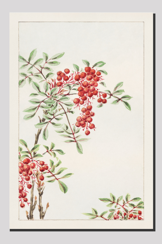 Nandina bush with berries during 1870–1880 by Megata Morikaga