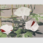 Beautiful photomechanical prints of Striped Bindweed Flowers (1887–1897) by Ogawa Kazumasa.