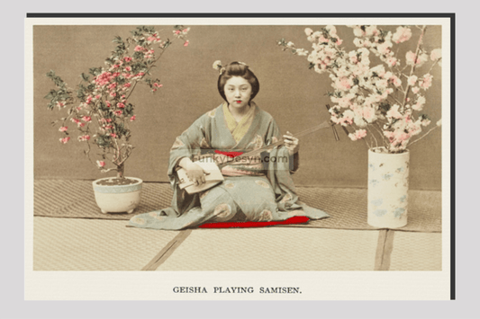 Geisha Playing Samisen, hand–colored albumen silver print from Japan. Described and Illustrated by the Japanese (1897) by Kazumasa Ogawa.