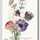 New Year's Greeting with Anemones (1898) by Sientje Mesdag-van Houten