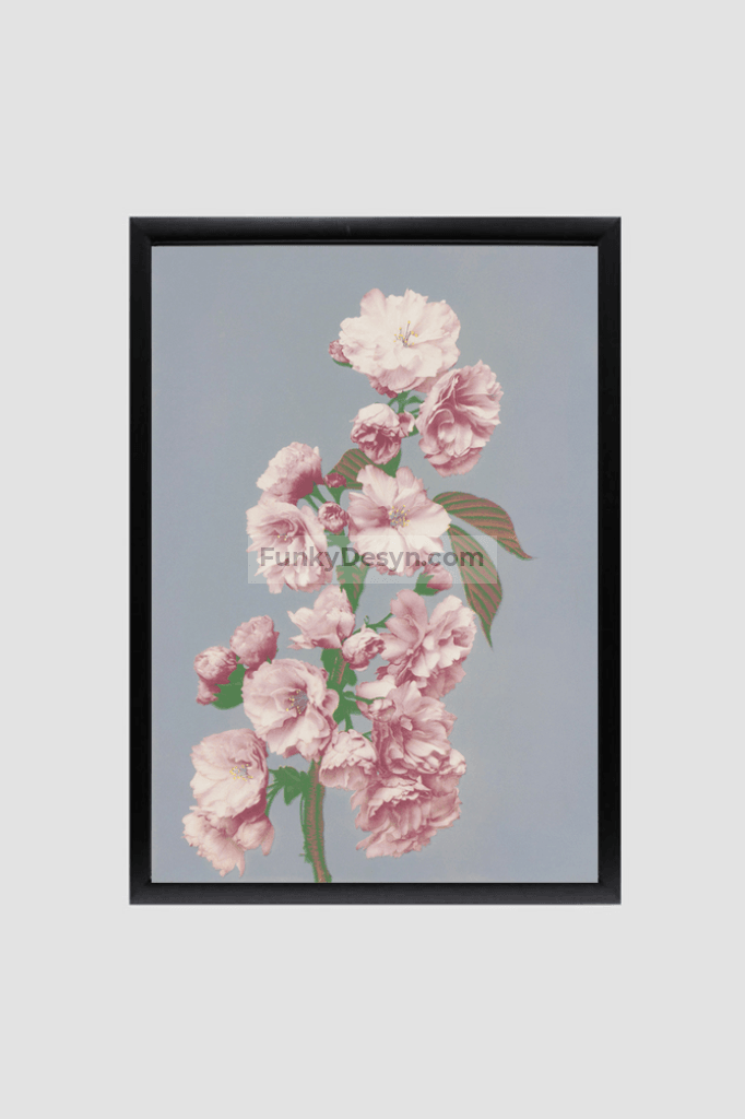 Beautiful photomechanical prints of Cherry Blossom (1887–1897) by Ogawa Kazumasa.