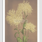Beautiful photomechanical prints of Three Yellow Chrysanthemums (1887–1897) by Ogawa Kazumasa