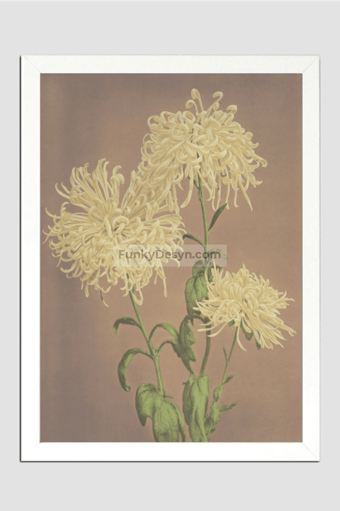 Beautiful photomechanical prints of Three Yellow Chrysanthemums (1887–1897) by Ogawa Kazumasa