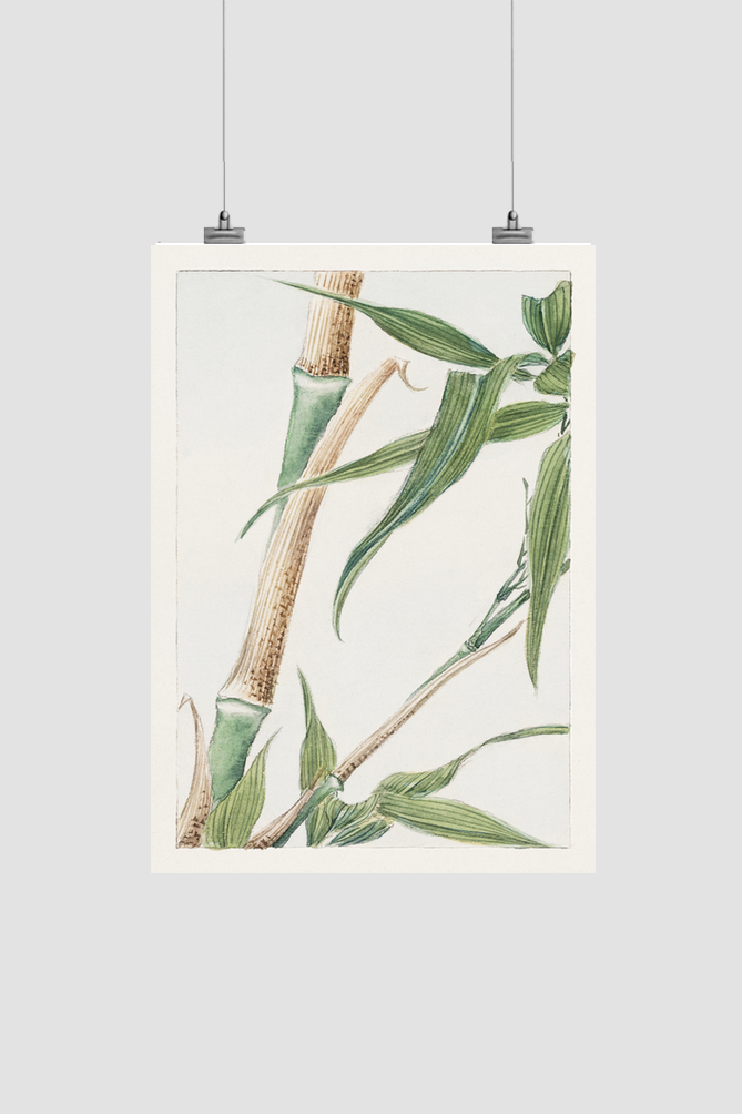Japanese Bamboo during 1870–1880 by Megata Morikaga
