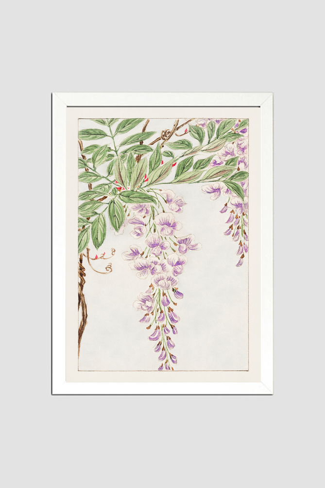 Wisteria vine with leaves and blossoms during 1870–1880 by Megata Morikaga.