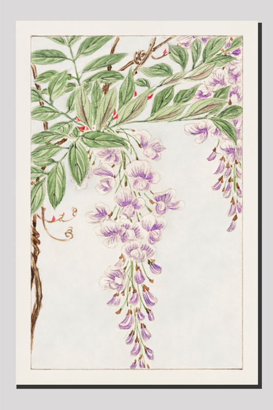 Wisteria vine with leaves and blossoms during 1870–1880 by Megata Morikaga.