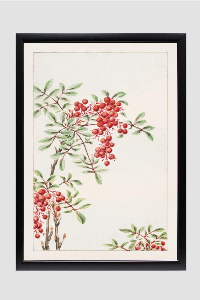 Nandina bush with berries during 1870–1880 by Megata Morikaga