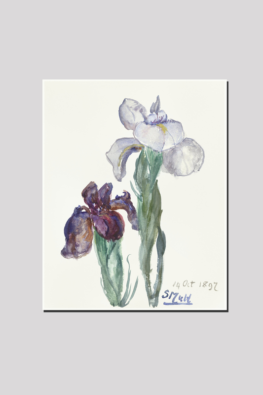 Irises (1897) by Sientje Mesdag-van Houten.