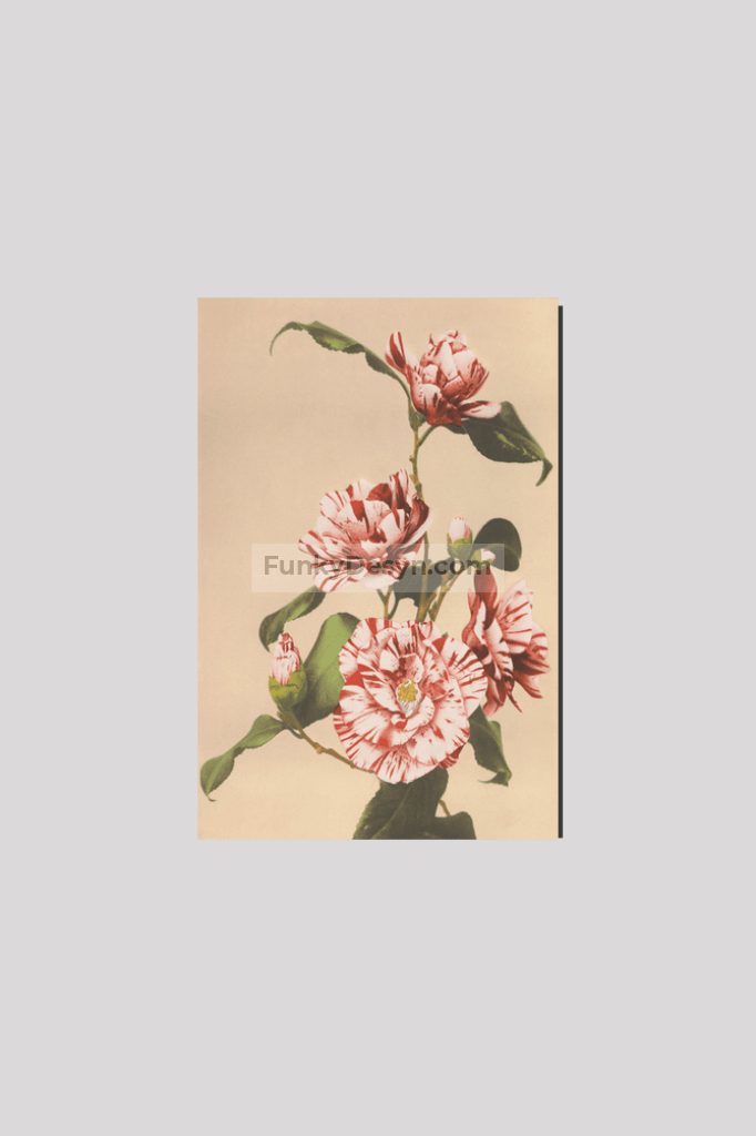 Beautiful photomechanical prints of Striped Camellias (1887–1897) by Ogawa Kazumasa