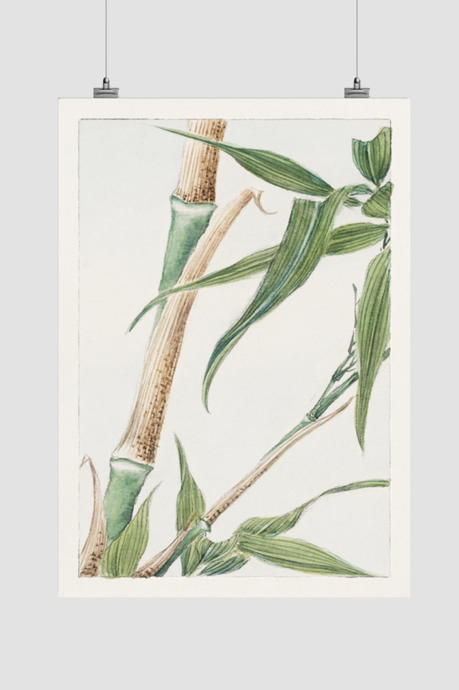 Japanese Bamboo during 1870–1880 by Megata Morikaga