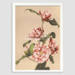 Beautiful photomechanical prints of Striped Camellias (1887–1897) by Ogawa Kazumasa