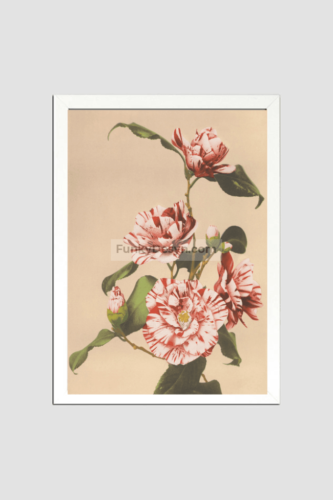 Beautiful photomechanical prints of Striped Camellias (1887–1897) by Ogawa Kazumasa