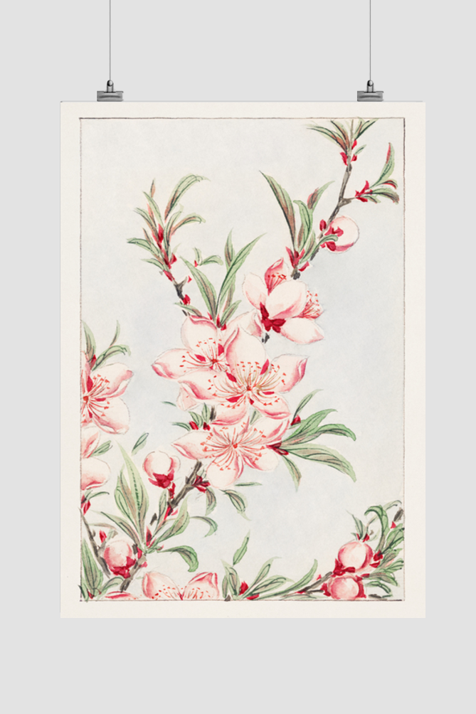 Peach tree branches with leaves and blossoms during 1870–1880 by Megata Morikaga