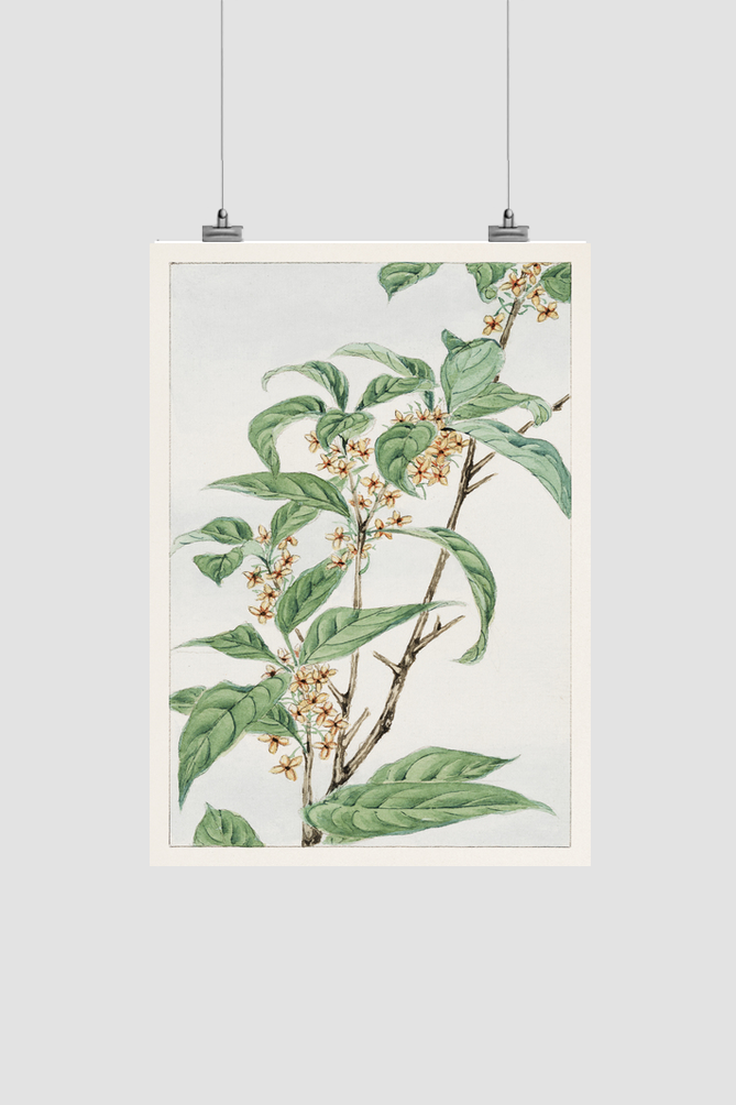 Stem with leaves and small flowers during 1870–1880 by Megata Morikaga