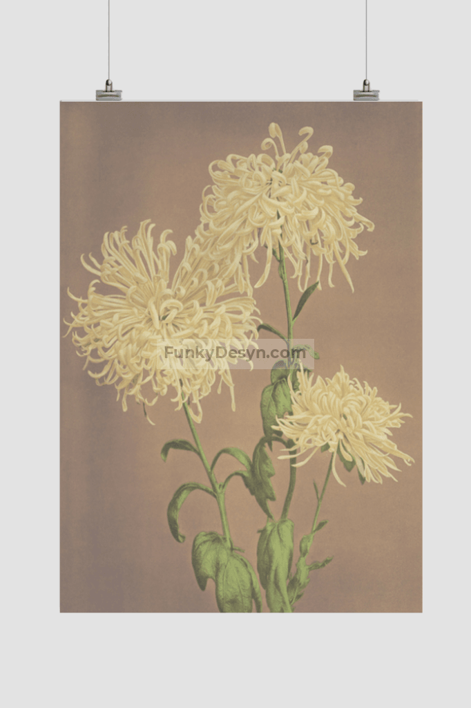Beautiful photomechanical prints of Three Yellow Chrysanthemums (1887–1897) by Ogawa Kazumasa