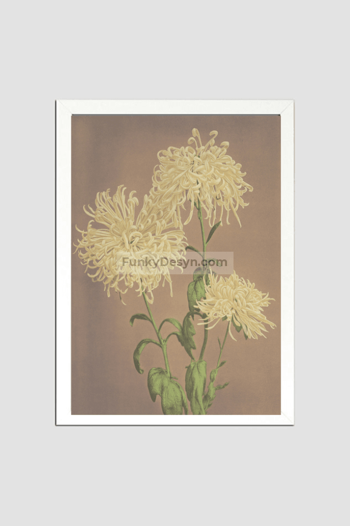 Beautiful photomechanical prints of Three Yellow Chrysanthemums (1887–1897) by Ogawa Kazumasa