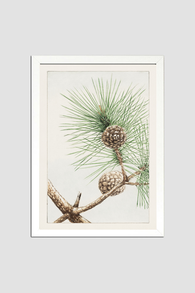 Matsu pine during 1870–1880 by Megata Morikaga.
