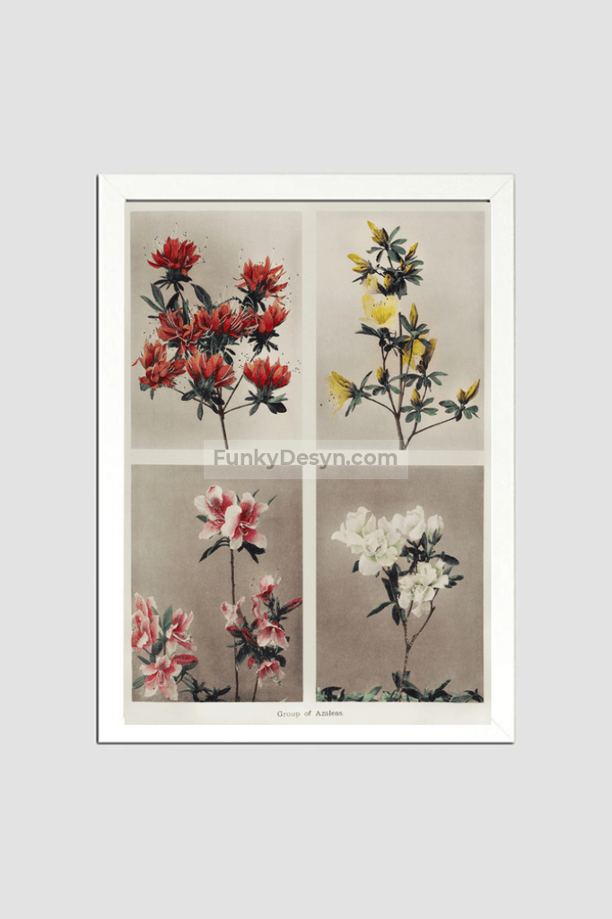 Group of Azaleas, hand–colored collotype (1896) by Kazumasa Ogawa.