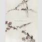 Three Birds Perched on Branches, One with Blossoms by Katsushika Hokusai