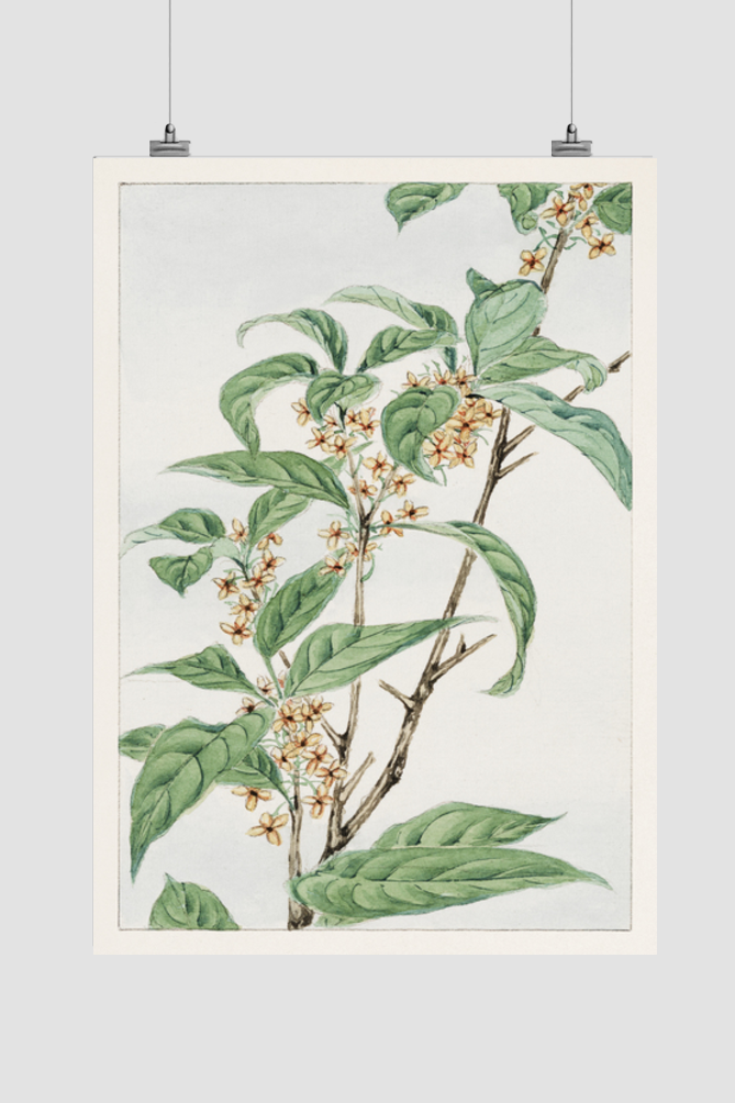 Stem with leaves and small flowers during 1870–1880 by Megata Morikaga