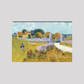 Farmhouse In Provence (1888) By Vincent Van Gogh. 8X12 Inches/ Wrapped Canvas