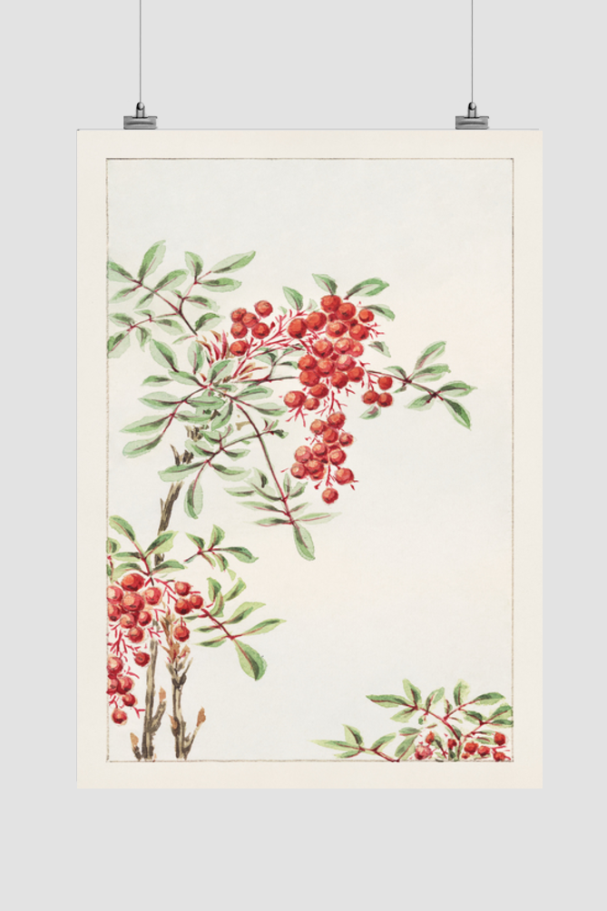Nandina bush with berries during 1870–1880 by Megata Morikaga