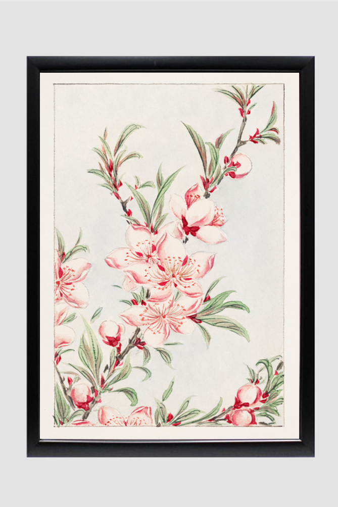 Peach tree branches with leaves and blossoms during 1870–1880 by Megata Morikaga