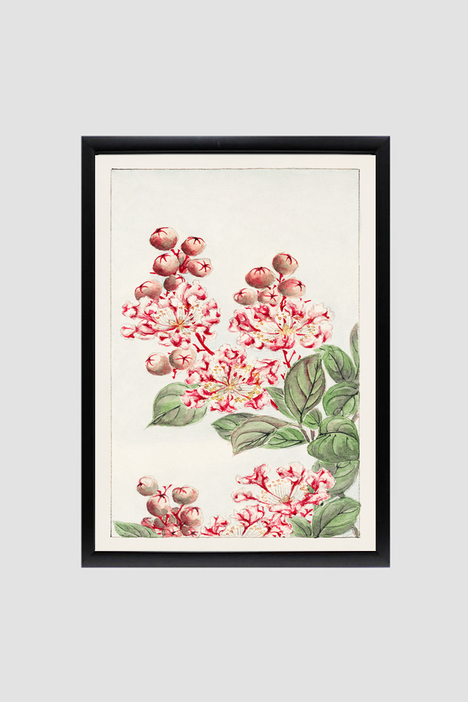 Sarusubi blossoms during 1870–1880 by Megata Morikaga