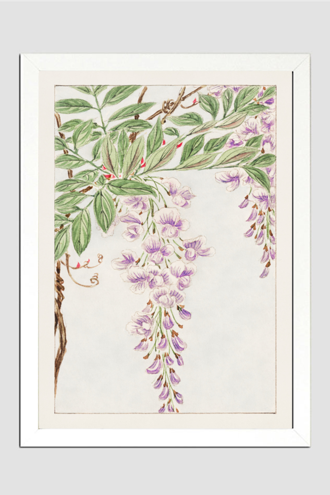 Wisteria vine with leaves and blossoms during 1870–1880 by Megata Morikaga.