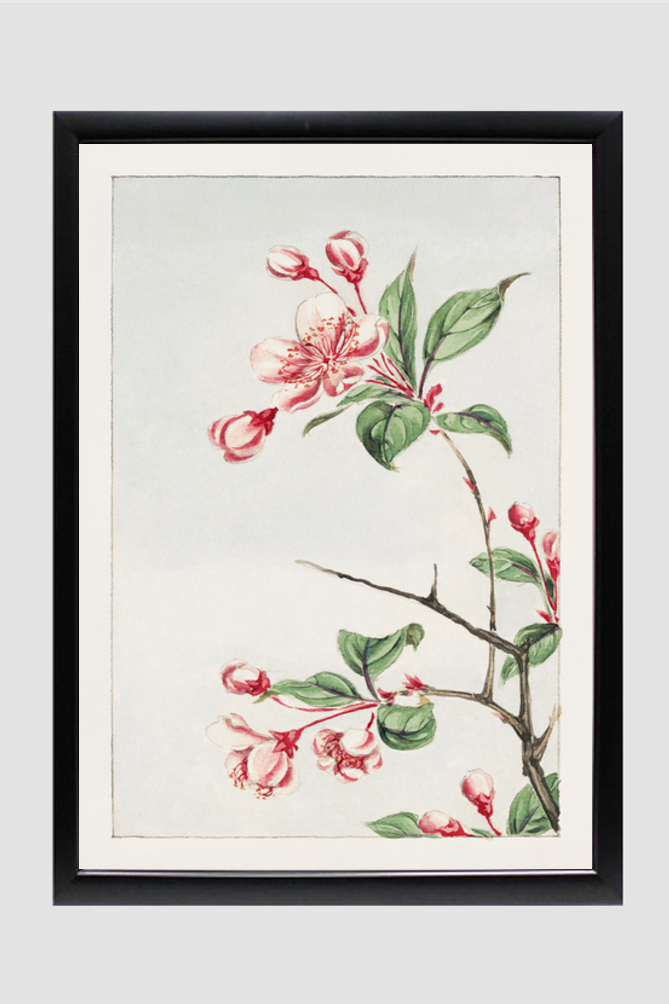 Kaido pyrus spectabalis during 1870–1880 by Megata Morikaga