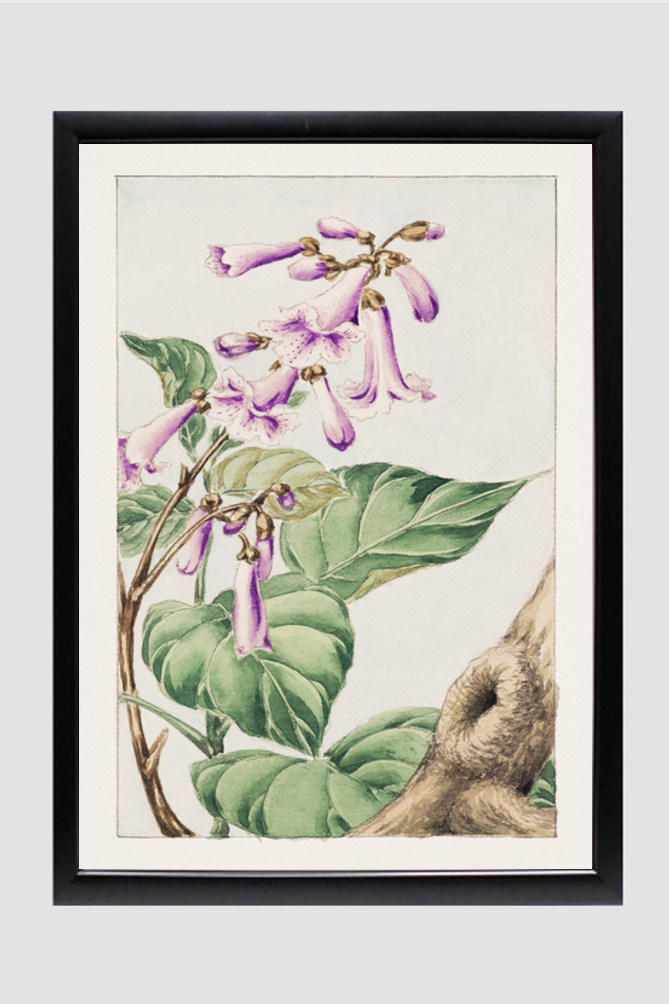 Kiri branch with flowers and leaves during 1870–1880 by Megata Morikaga
