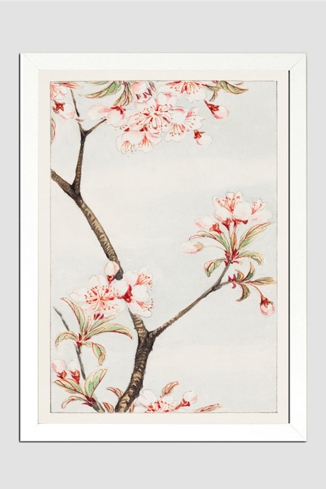 Sakura cherry during 1870–1880 by Megata Morikaga
