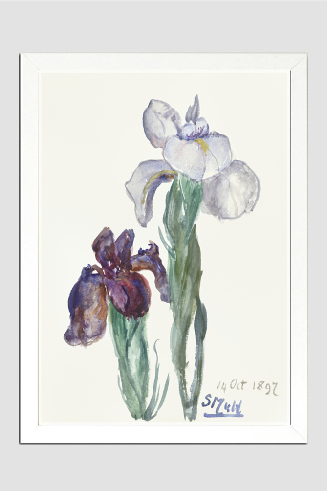 Irises (1897) by Sientje Mesdag-van Houten.