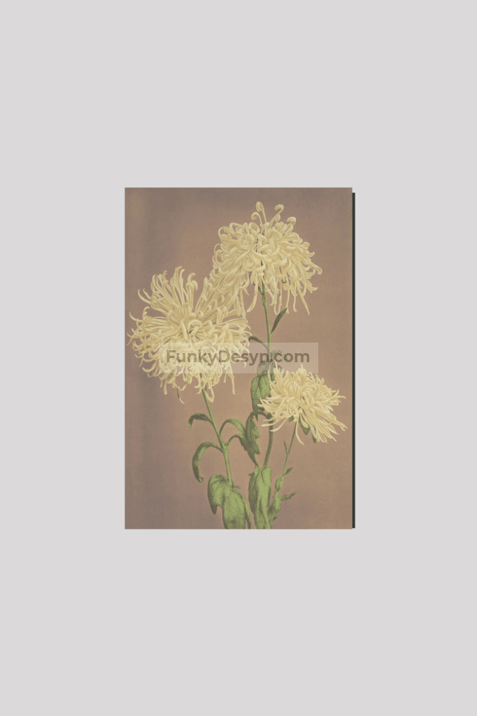Beautiful photomechanical prints of Three Yellow Chrysanthemums (1887–1897) by Ogawa Kazumasa