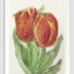 Two Red Tulips by Sientje Mesdag-van Houten (1834–1909).