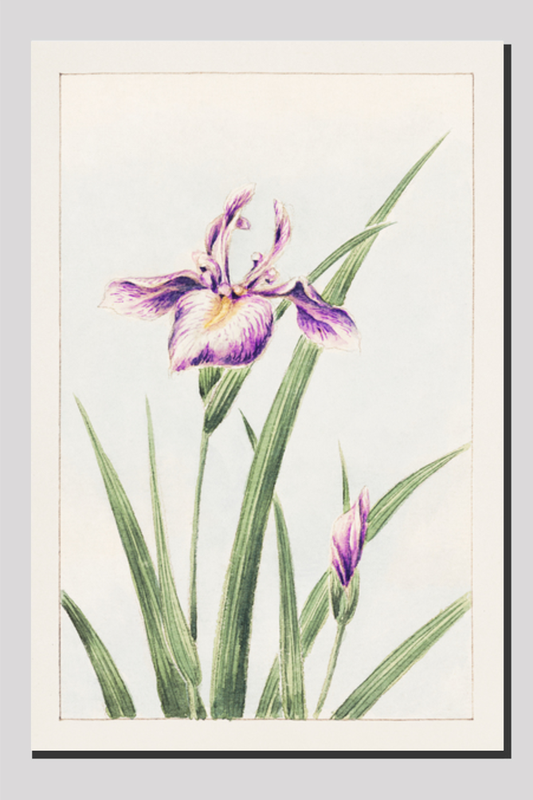Hana–strobel during 1870–1880 by Megata Morikaga
