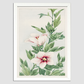 Hibiscus plant during 1870–1880 by Megata Morikaga.