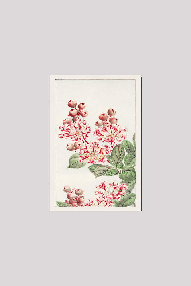 Sarusubi blossoms during 1870–1880 by Megata Morikaga